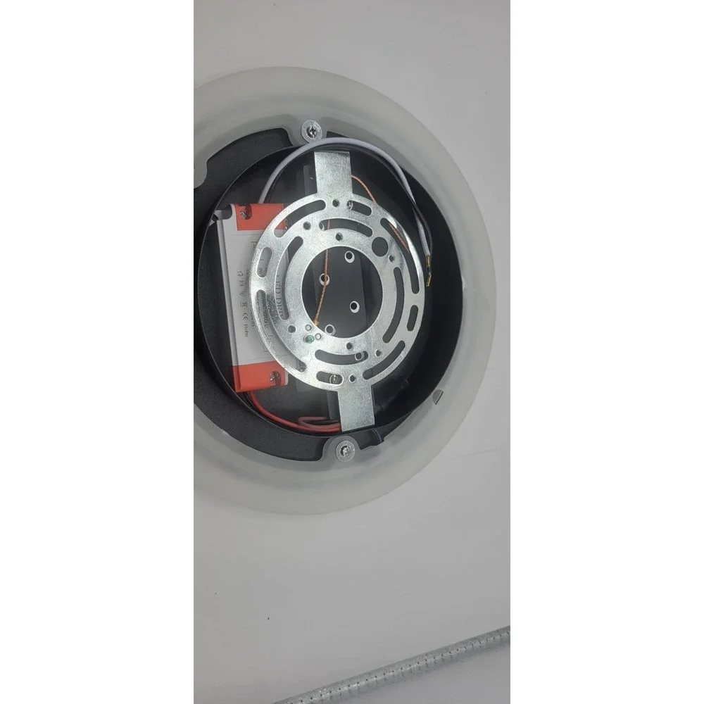 Ceiling Mount LED Light 9 1/2 